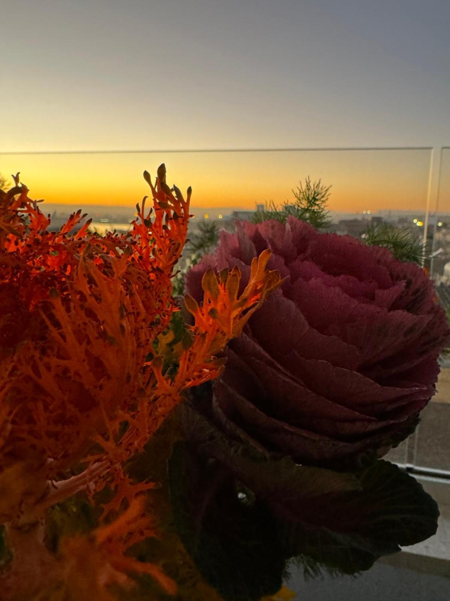Bed and Breakfast La Terrazza Sul Porto Syracuse Exteriér fotografie