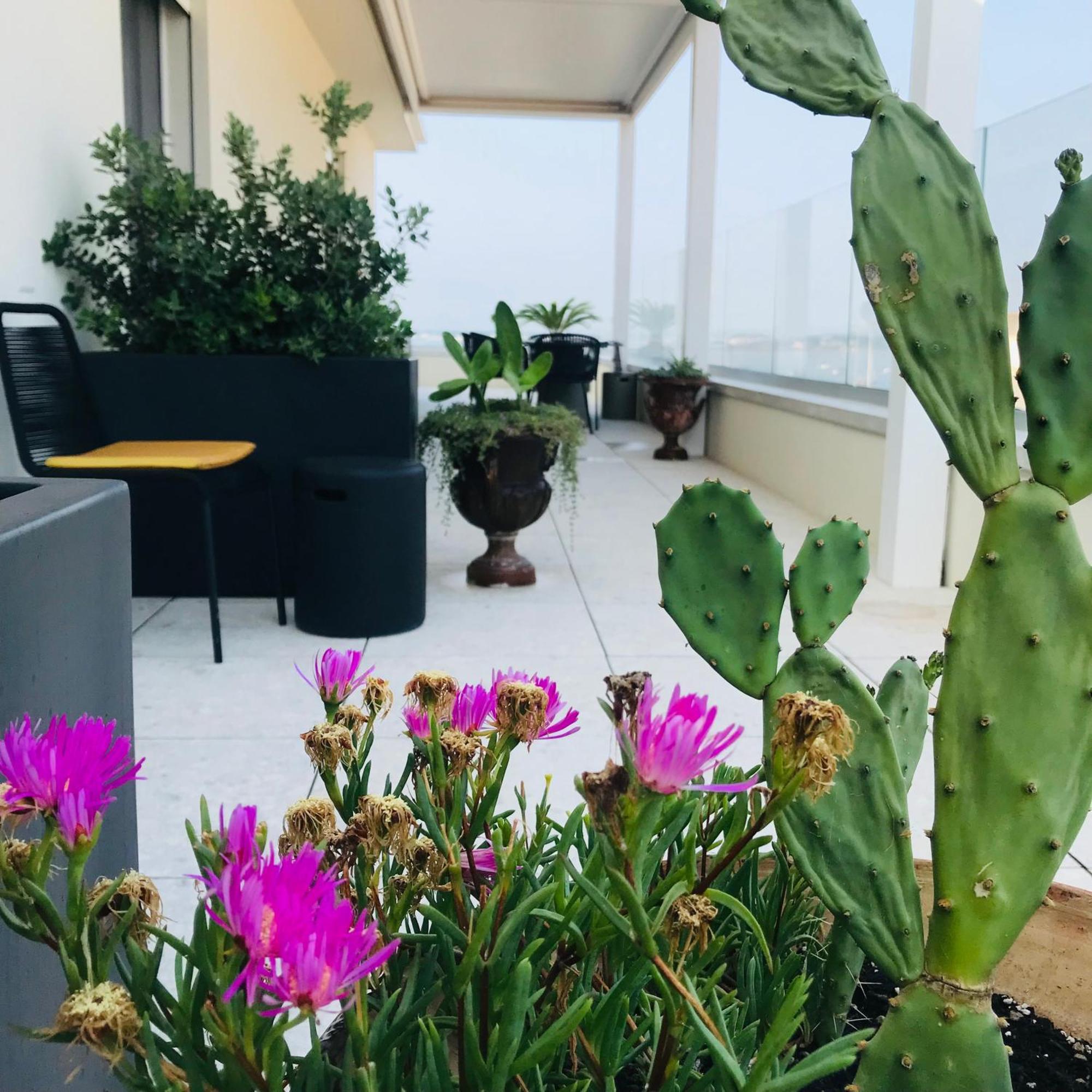 Bed and Breakfast La Terrazza Sul Porto Syracuse Exteriér fotografie